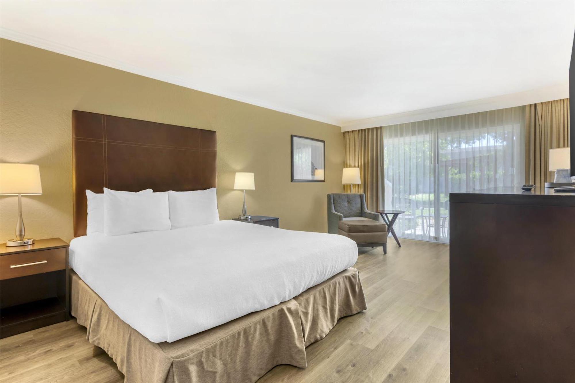 King Room Poolside,1717019130:JPEG